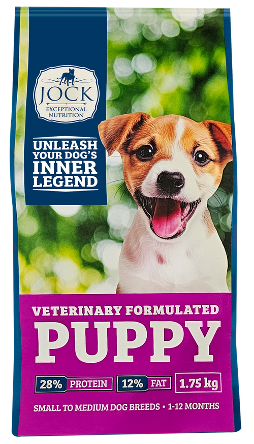 Jock Small - Medium Puppy
