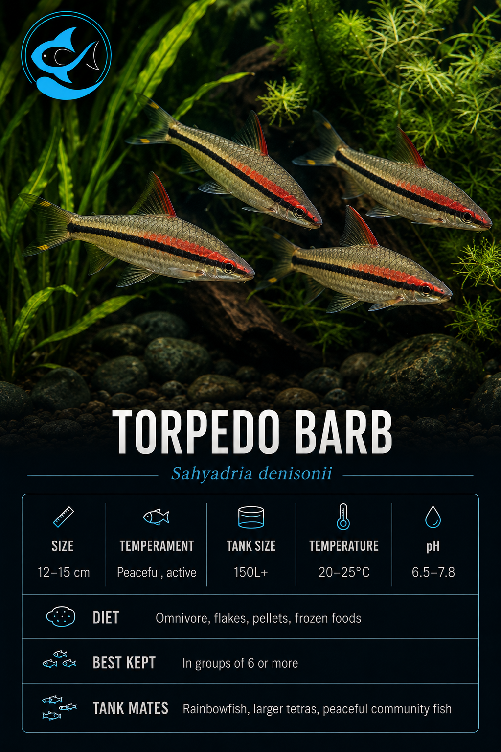 Barb-Torpedo(50mm)