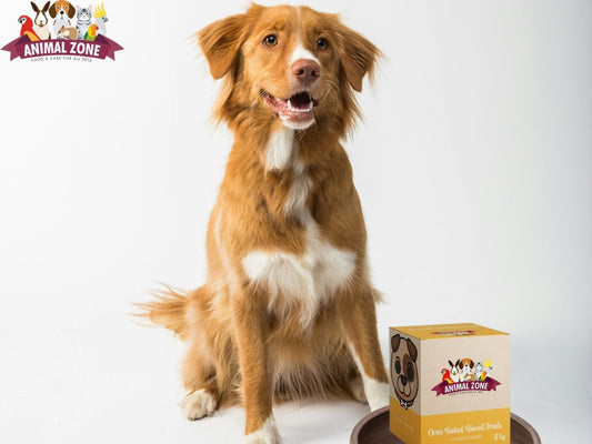 Animal Zone Dog Biscuits Steak -  2kg
