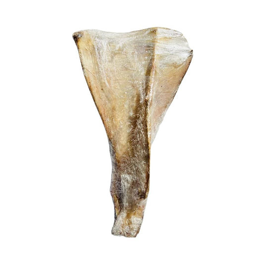 Craving Nature Scapula Bones - Singles