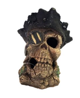 Akwa Pirate Skeleton