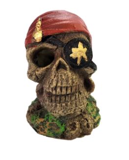 Akwa Pirate Skeleton