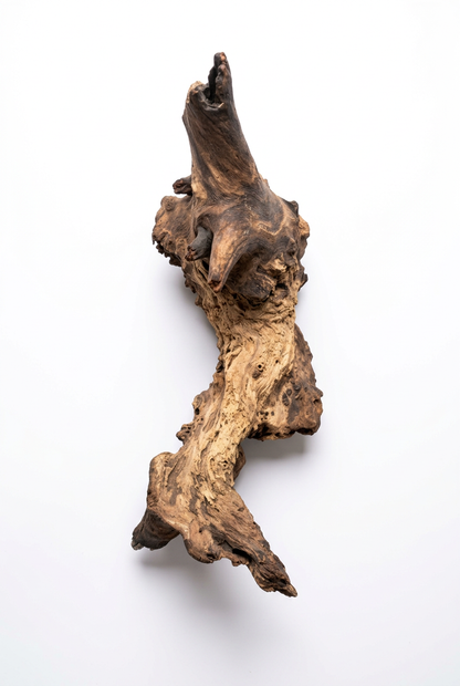 Reptile Mopani Wood Natural Wood Decor