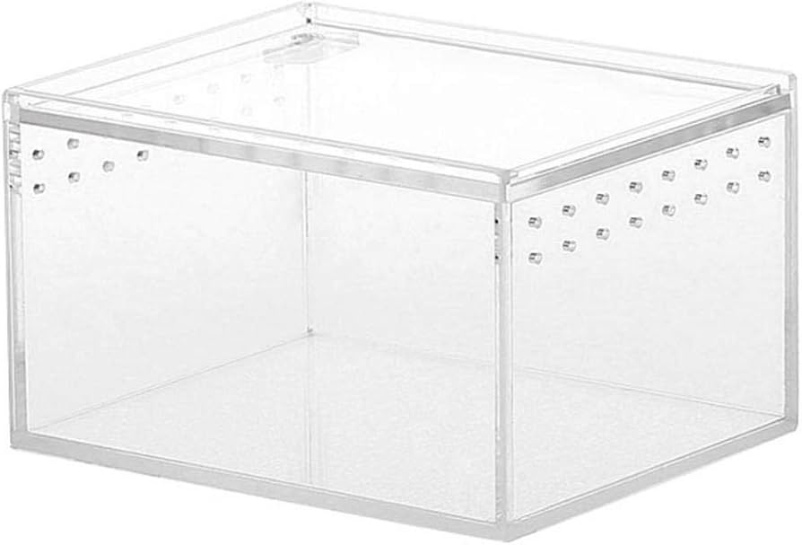 Crawling Pet -Acrylic Breeding/ Transport Box