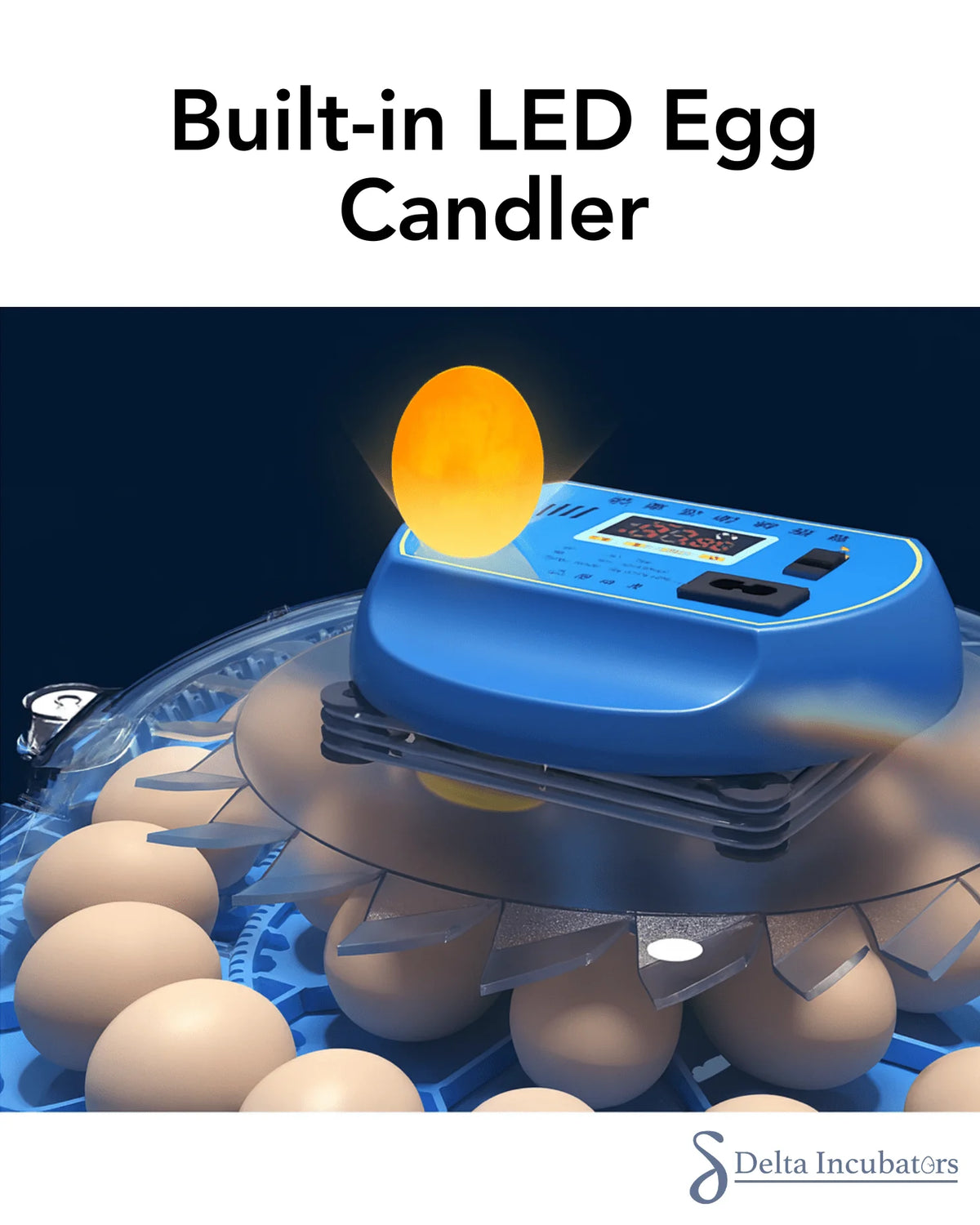 80 Egg Orbit Incubator