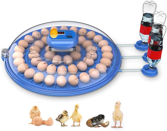 56 Egg Orbit Incubator