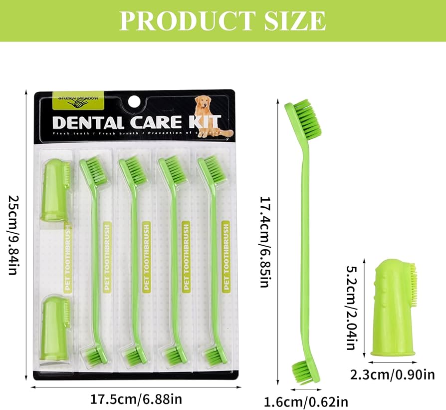 Dental Care Kit - Green