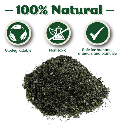 Sprogley Premium Catnip 40g