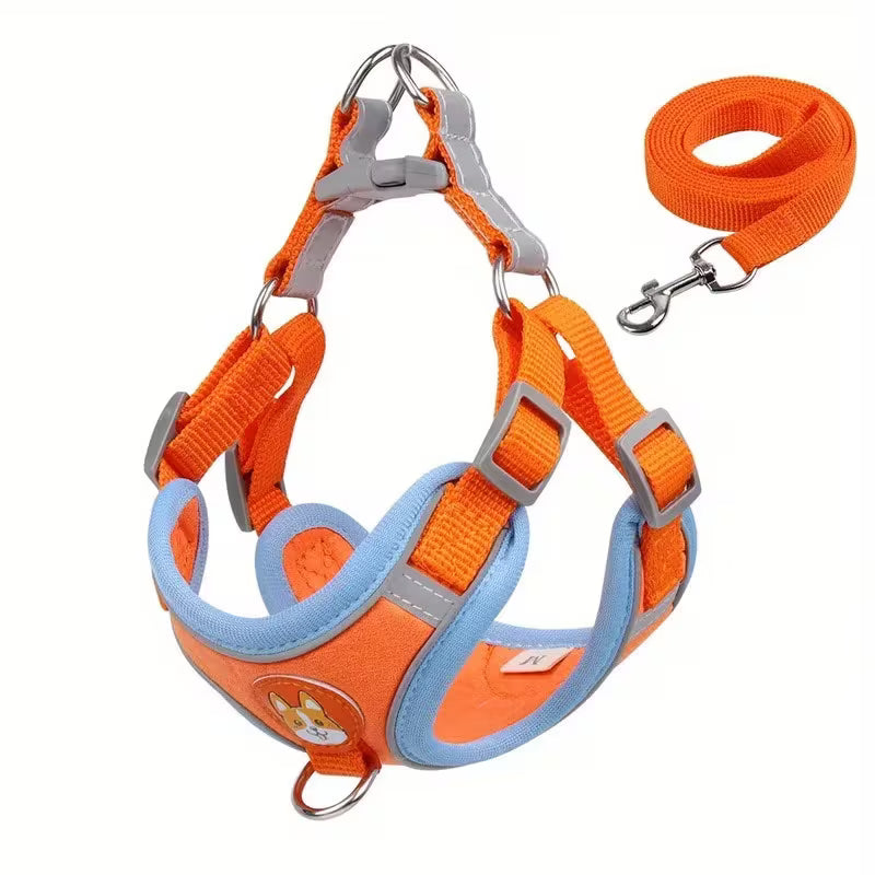 Dog Harness Logo Set