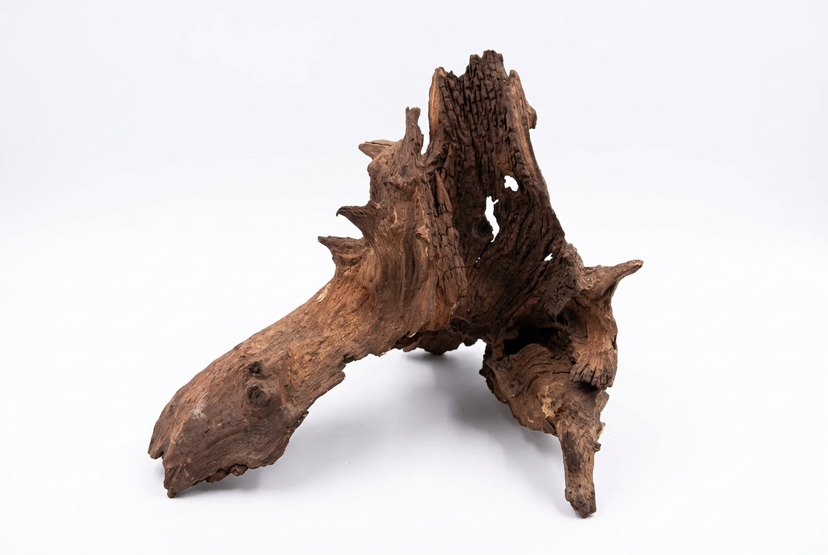 Reptile Mopani Wood Natural Wood Decor