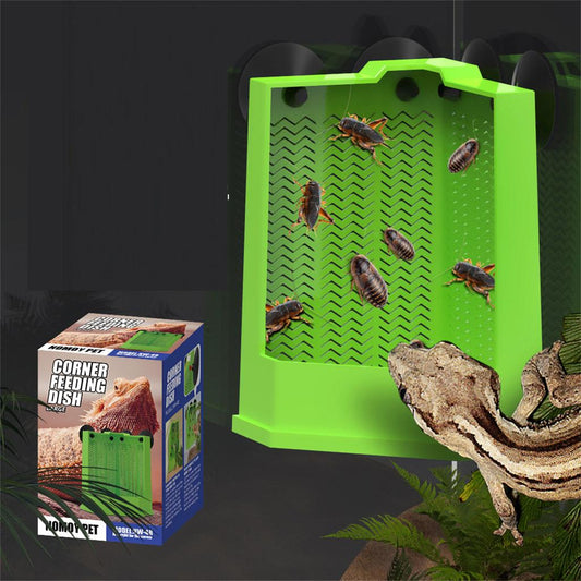 Nomoy Corner Feeding Dish Large