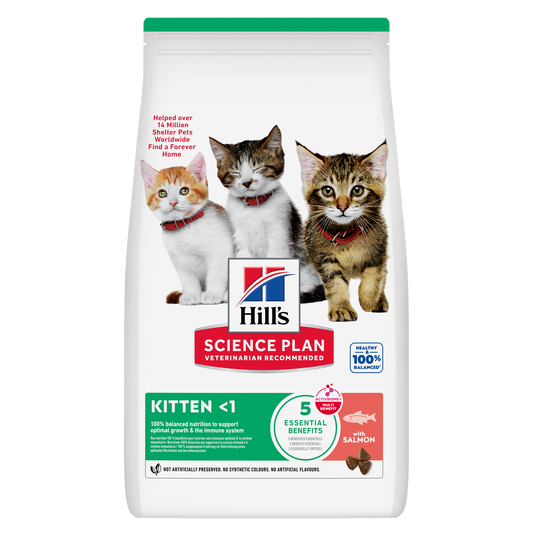 Hill's Science Plan Kitten Salmon