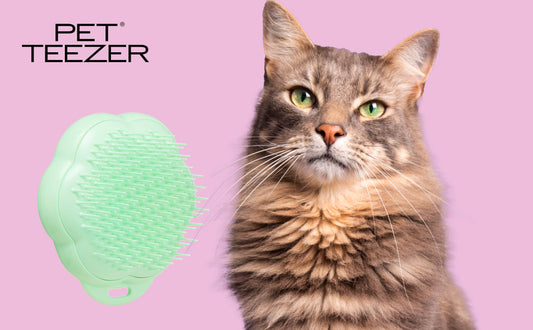 Pet Teezer - Cat Grooming Bush