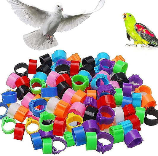 Daro Bird ID Rings