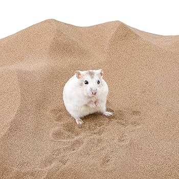 Coastal's Hamster Bathing Sand (500g-+)