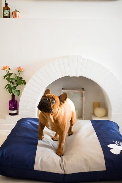 Dog's Life Squarebone Cushion Bed - Blue
