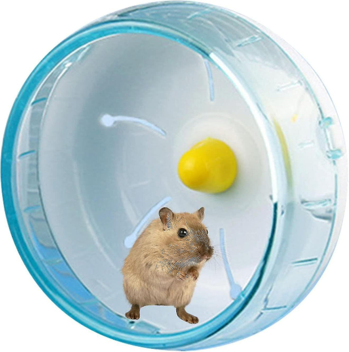 Illustration of Small Hamster Wheel For Low Ceilings