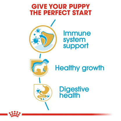 Royal Canin Jack Russel Puppy