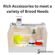 Delta Incubators Brooder – Large