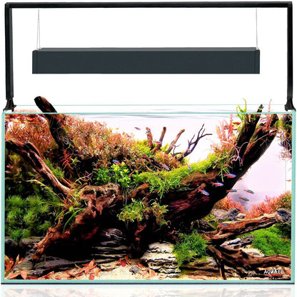 Aquael UltraScape 60 Aquarium Set Forest