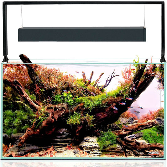 Aquael UltraScape 60 Aquarium Set Forest