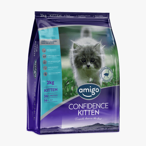 Amigo Kitten 2Kg