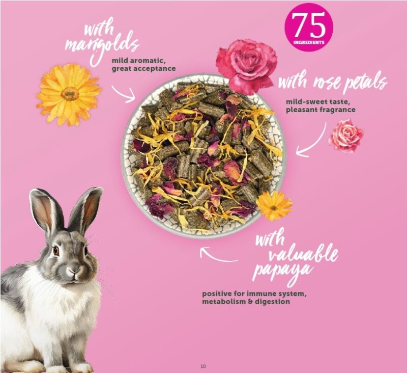 Bunny Nature Rabbit Dream - Blossoms  1.5kg