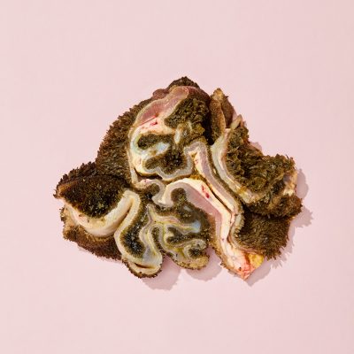 Yip&Yaps Raw Frozen Venison Green Tripe 1Kg