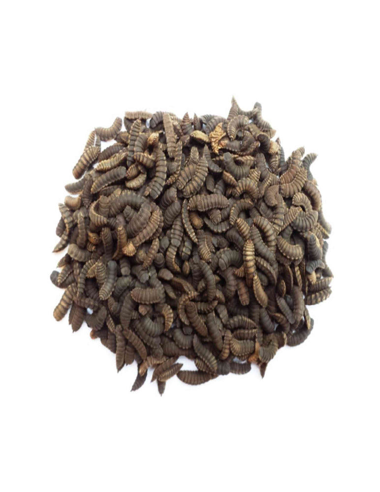 FFA - Dried Black Soldier Fly Larvae 500ml