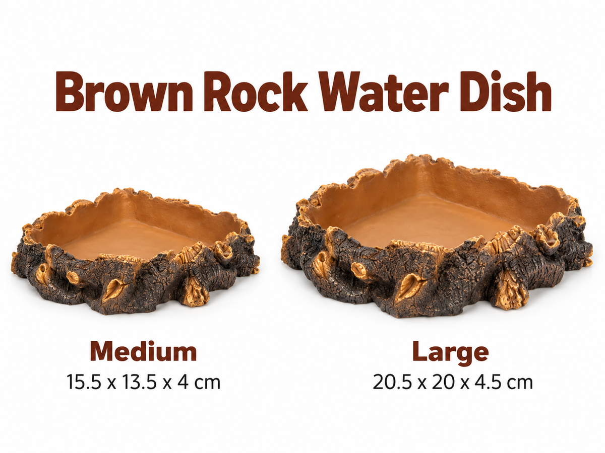 Brown Rock Water Dish
