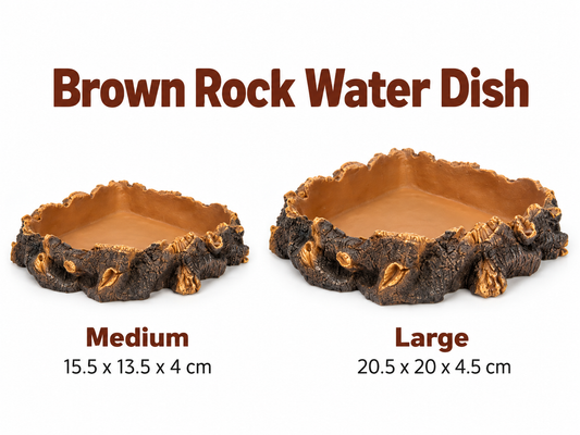 Brown Rock Water Dish