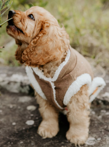 DLWN Wool Winter Coat with Sherpa Fleece