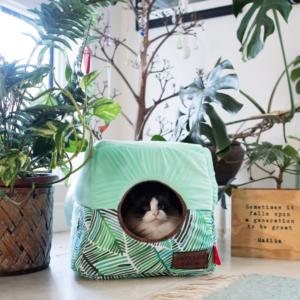 Cat's Life Cat Cube Tropical Leaves