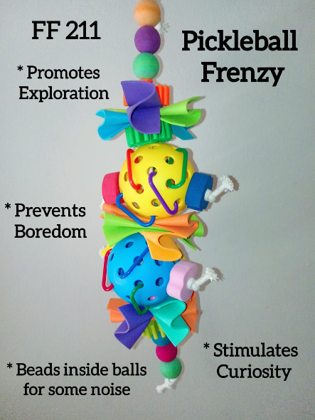 Pickleball Frenzy Bird Toy