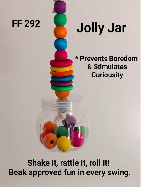 Jolly Jar Bird Toy