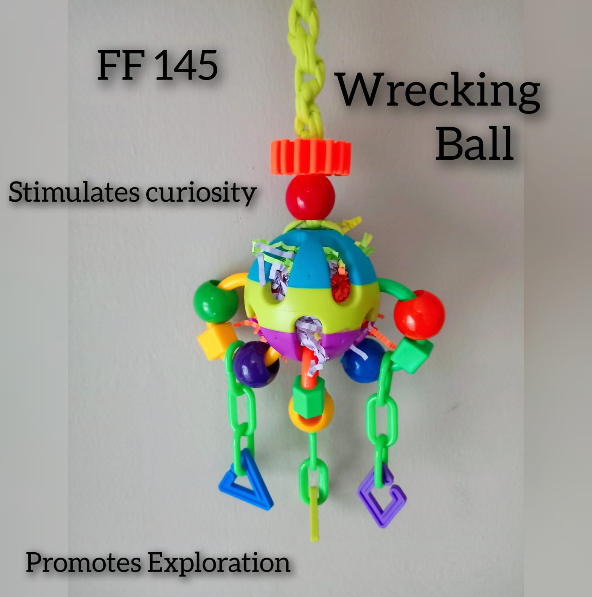 Wrecking Ball Bird Toy