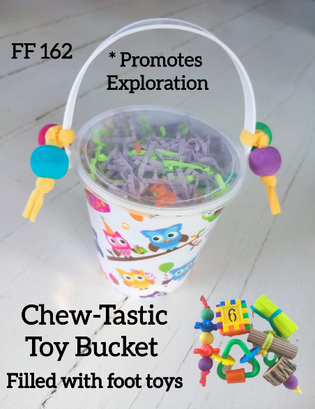 Chewtastic Toy Bucket