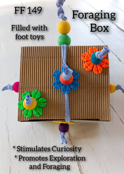 Foraging Box With Foot Toys