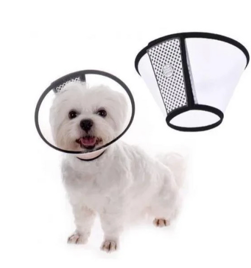 Pawise Pet E Collar Medium