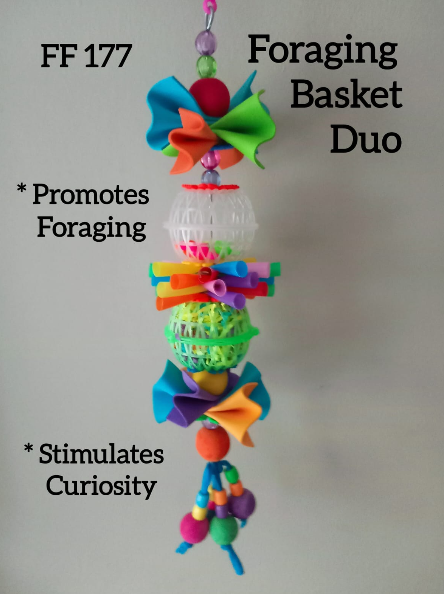 Foraging Basket Duo