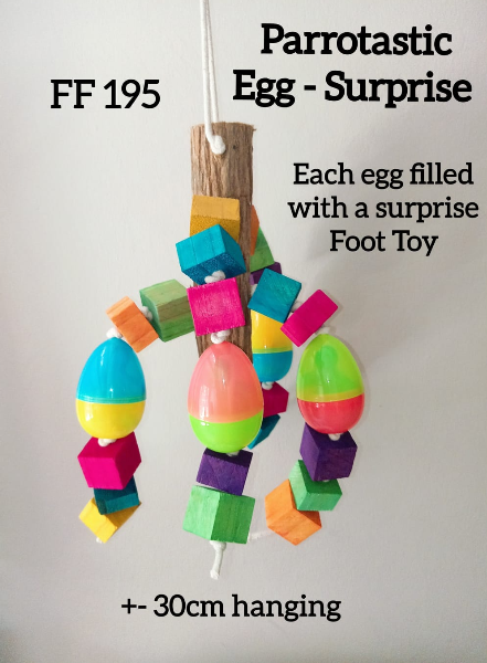 Parrotastic Egg Suprise