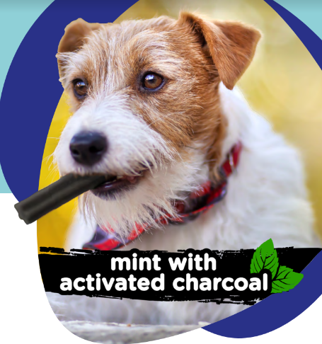 Marltons Dental Chews Mint & Charcoal 100g