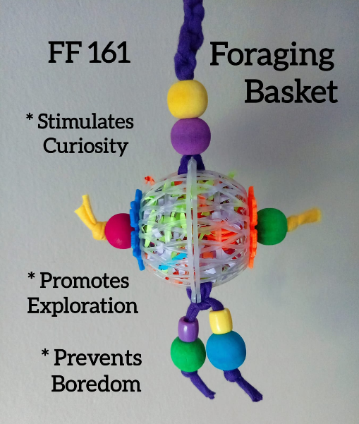 Foraging Basket