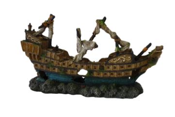 Akwa Pirate Shipwreck-AO0426