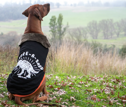 DLWN Snore-A-Saur Winter Cape
