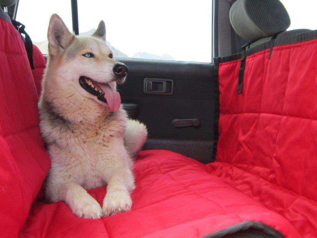Kunduchi Car Seat Cover - Red