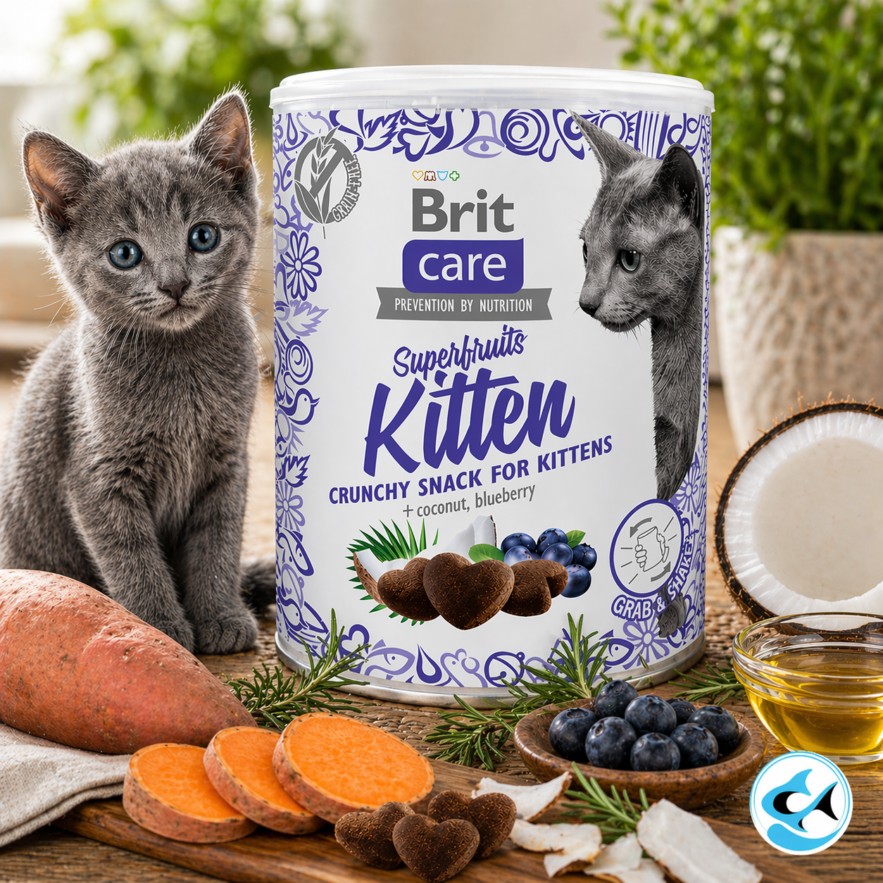 Brit Care Superfruits Kitten Snack 100g
