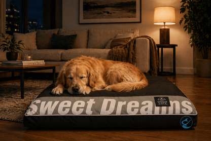 Dog's Life Sweet Dreams Cushion - Black