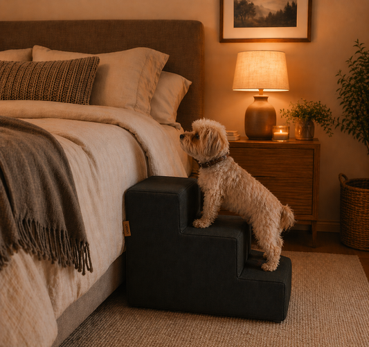Petsa Doggy Aid Step