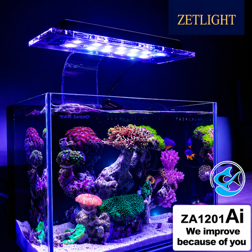 Zetlight ZA1201 AI